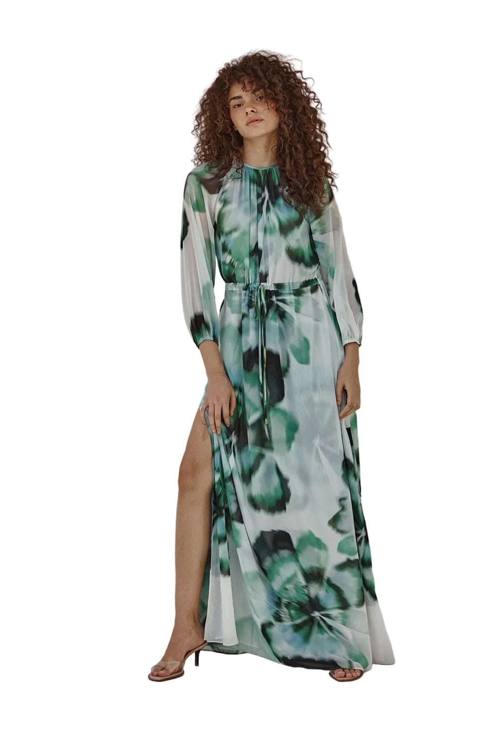 Perdita Chiffon Maxi Dress – Verdant Anemone