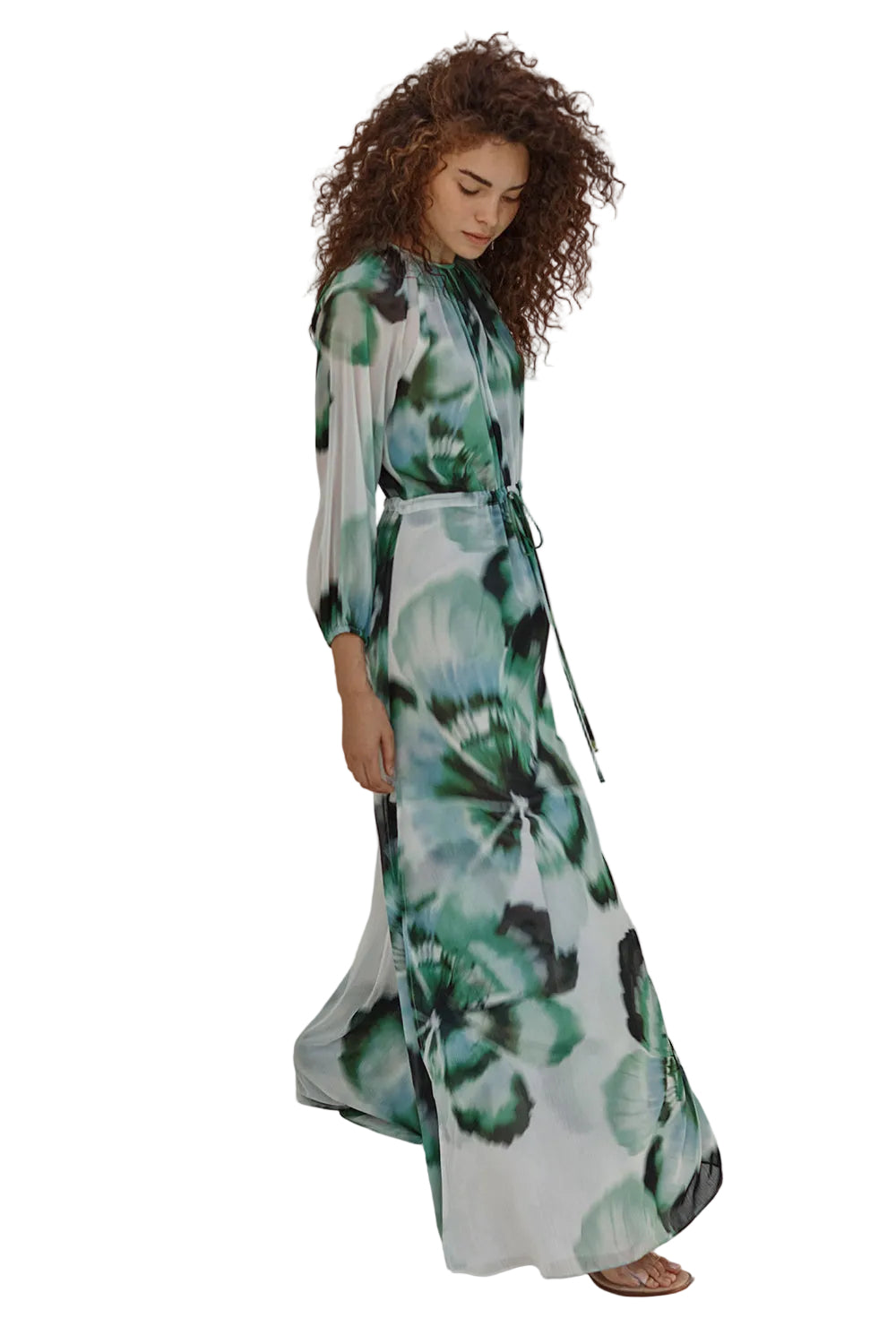 Perdita Chiffon Maxi Dress – Verdant Anemone